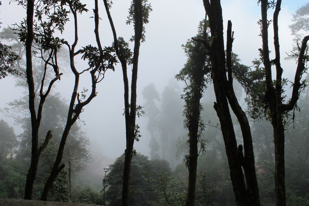 Is Roller Skating a&nbsp;Meditation?