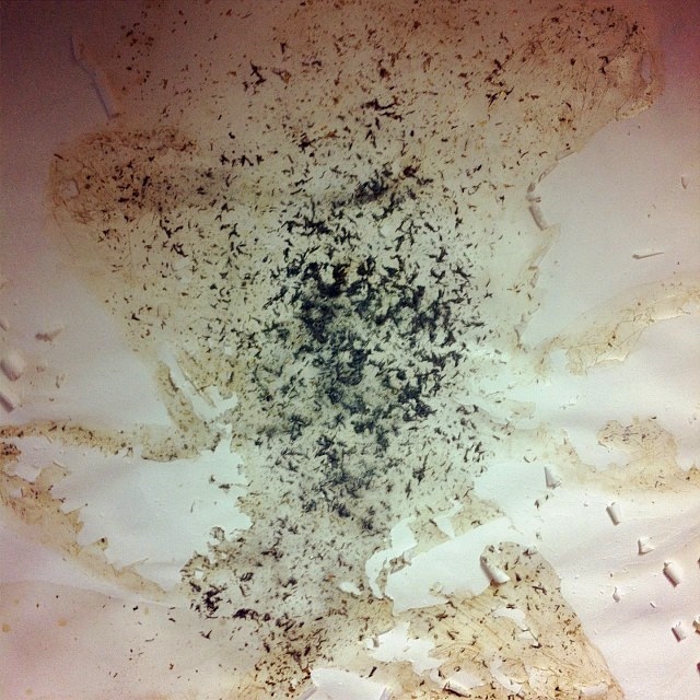 00393a02280f11e3860d22000aa81037_8