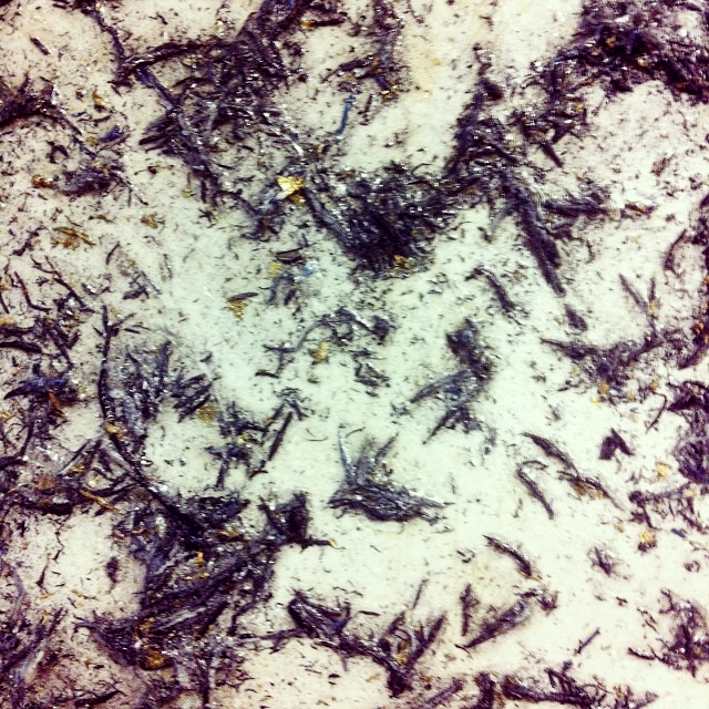 17e63f60280f11e38b9a22000a1f9d42_8