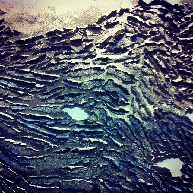 96b33fd2280f11e388e422000a1fb6e3_8