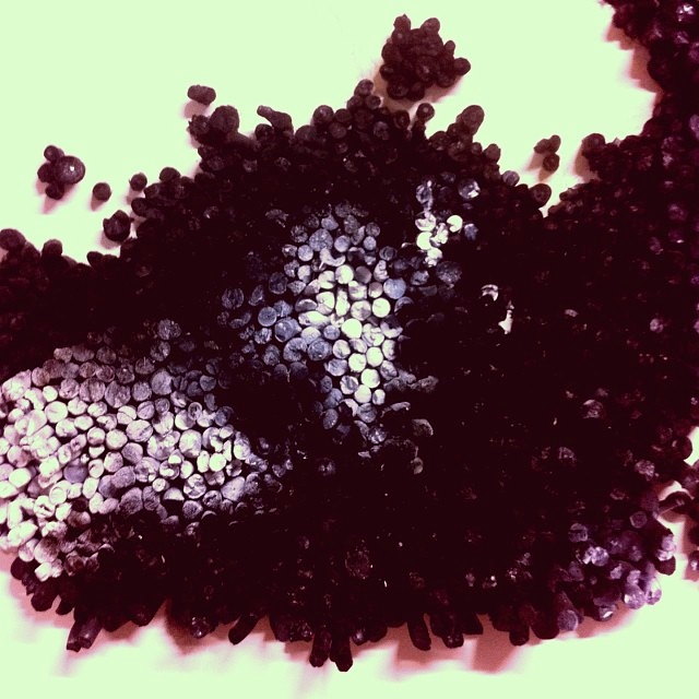 eac5c04a280f11e3b74e22000a9e07d7_8