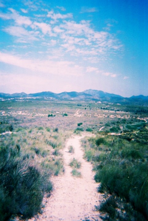 223007_10150163545602024_5944213_n