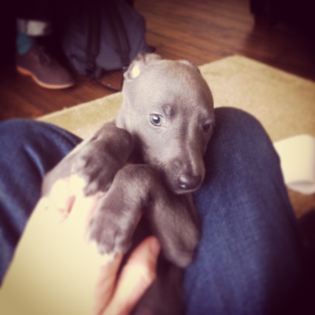 9b7ede3690ce11e3b69812d07c665925_8