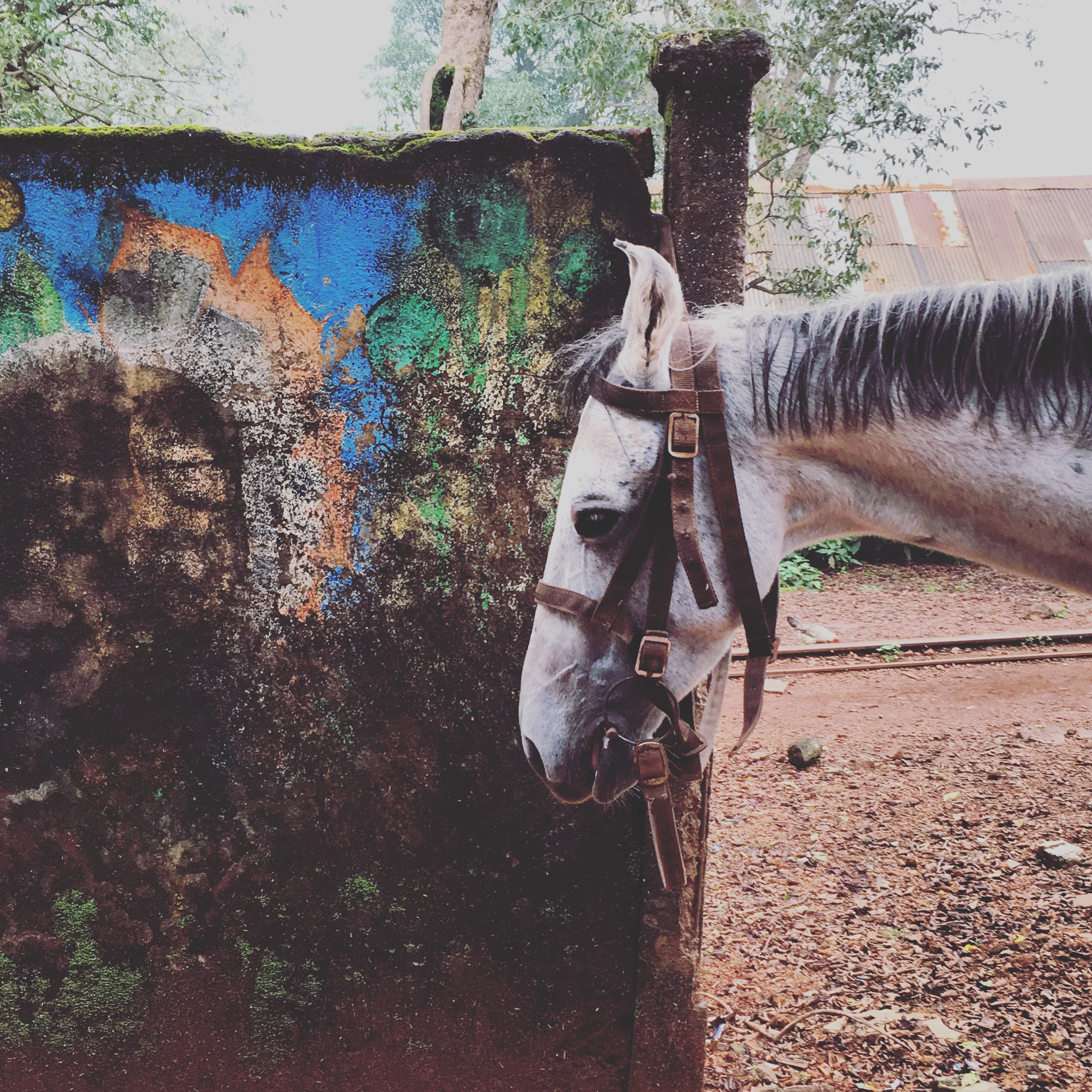 20160913_090601254_ios