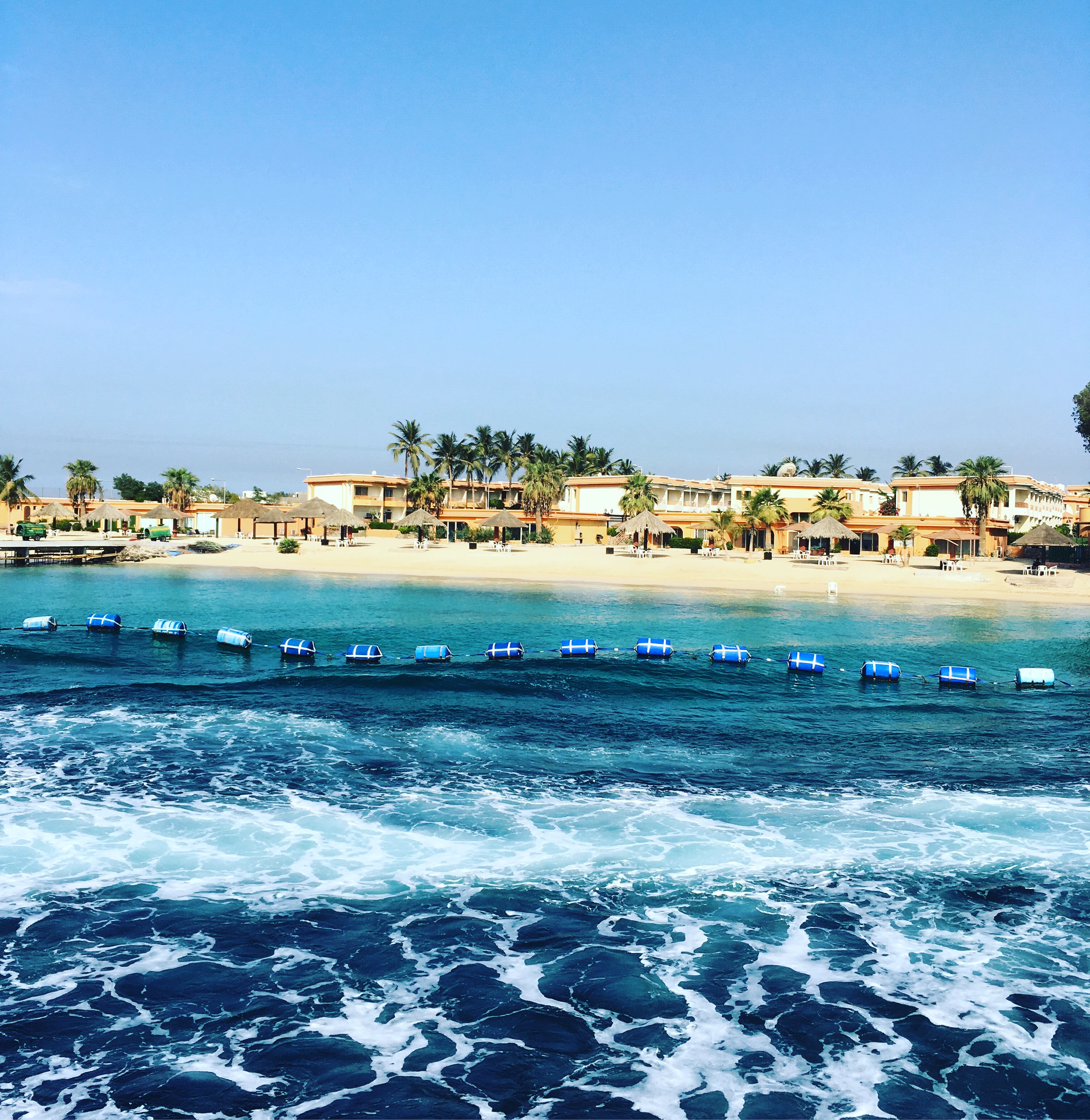 20160923_054049522_ios