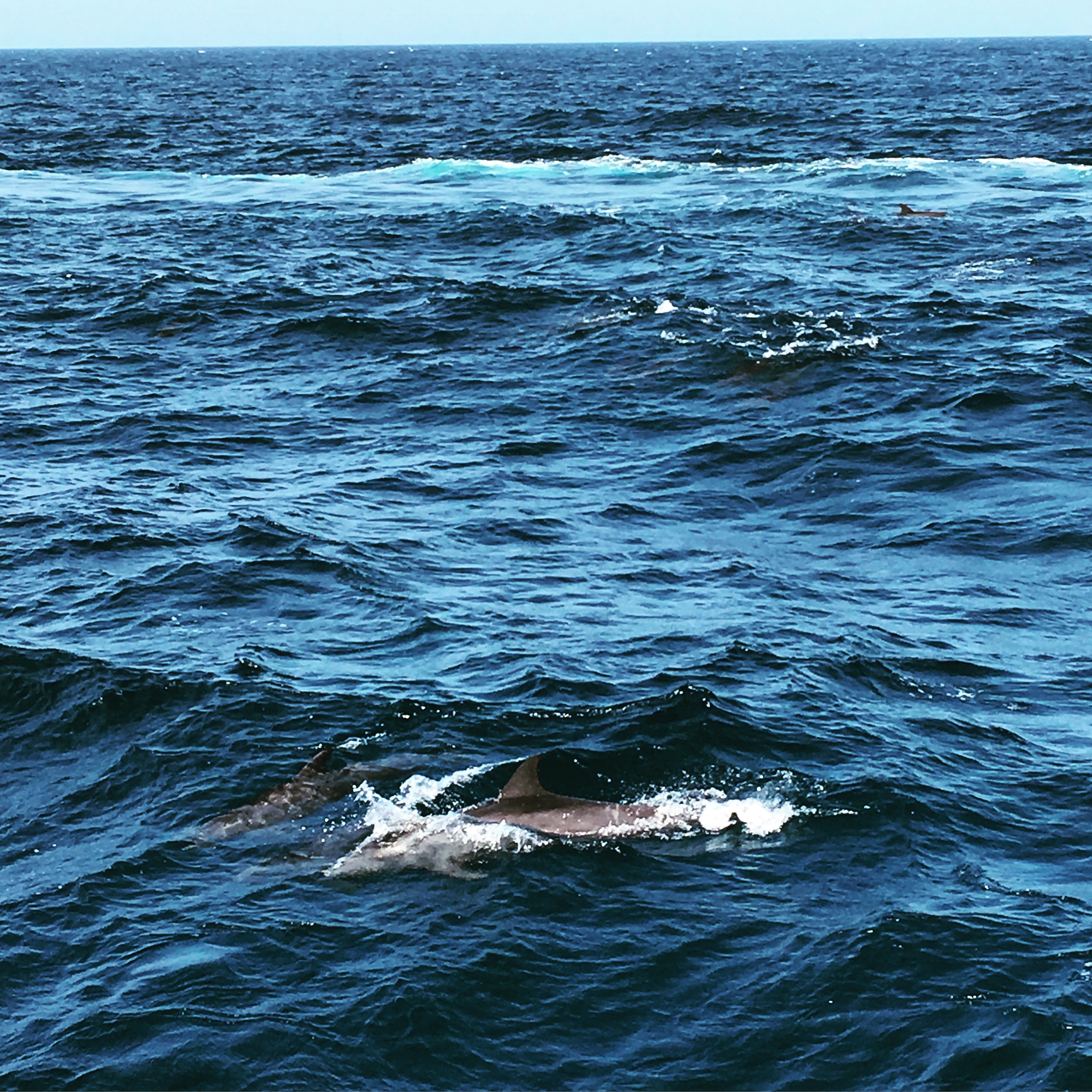 20160923_062701060_ios