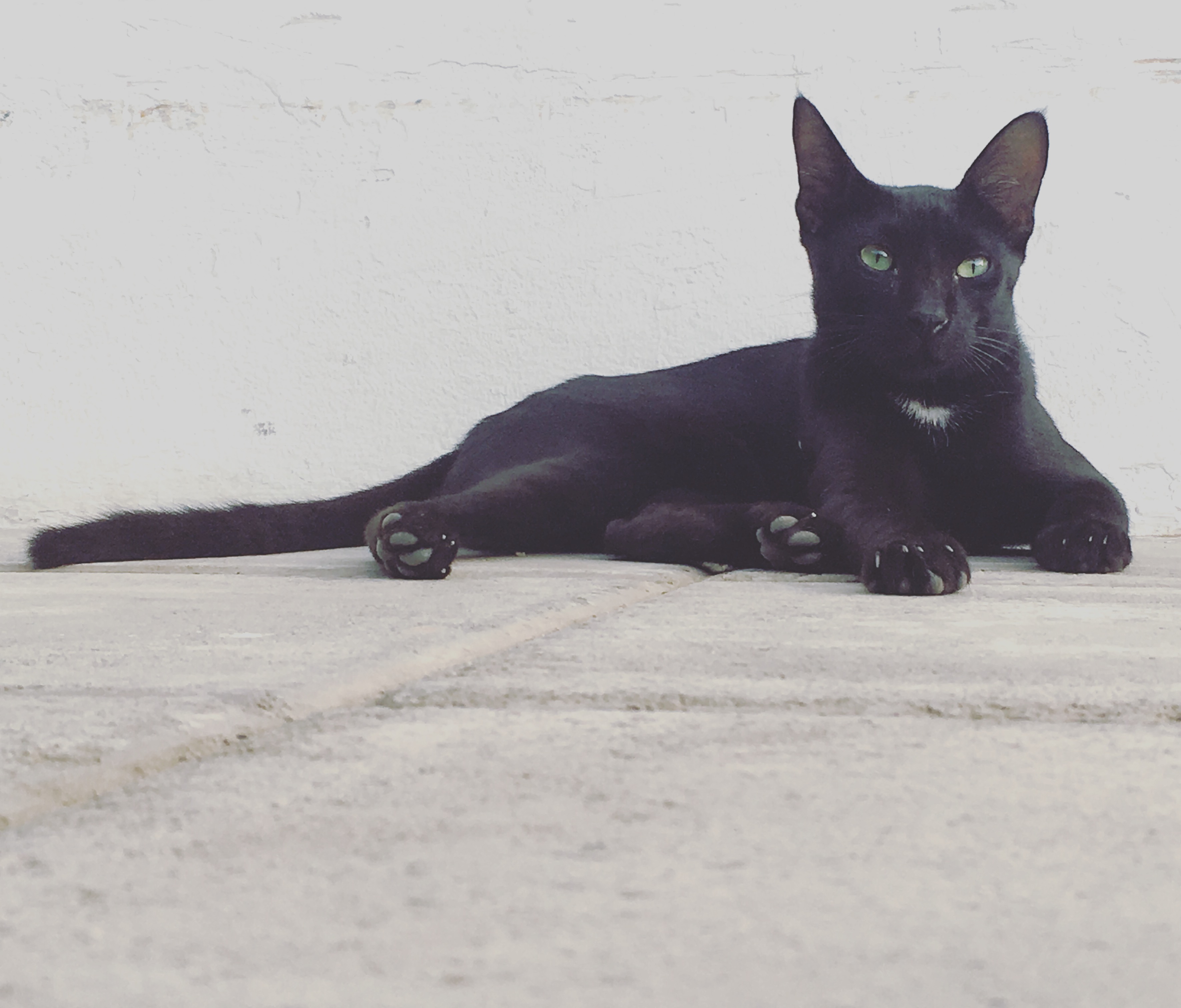 20160928_140408023_ios