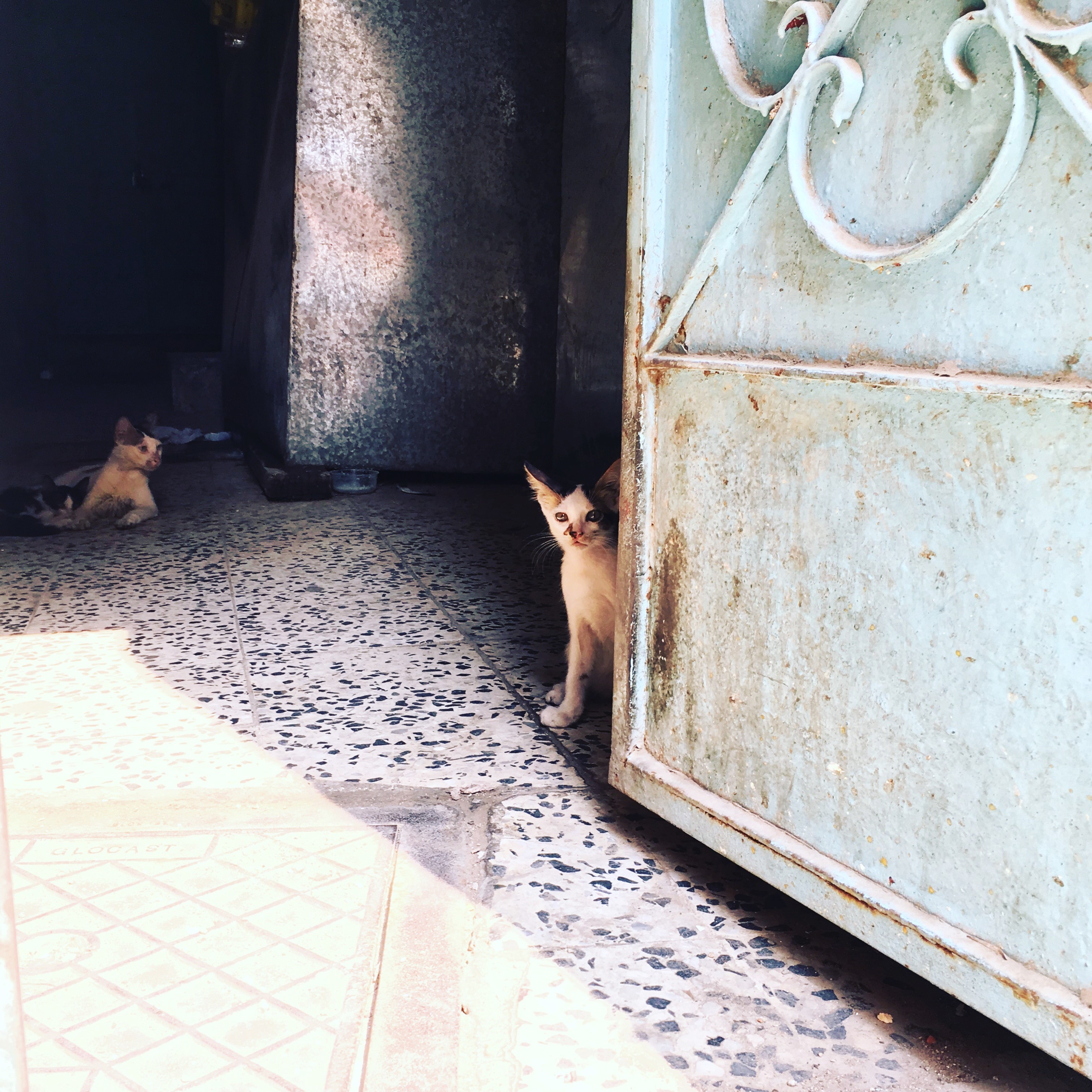 20161105_082106508_ios