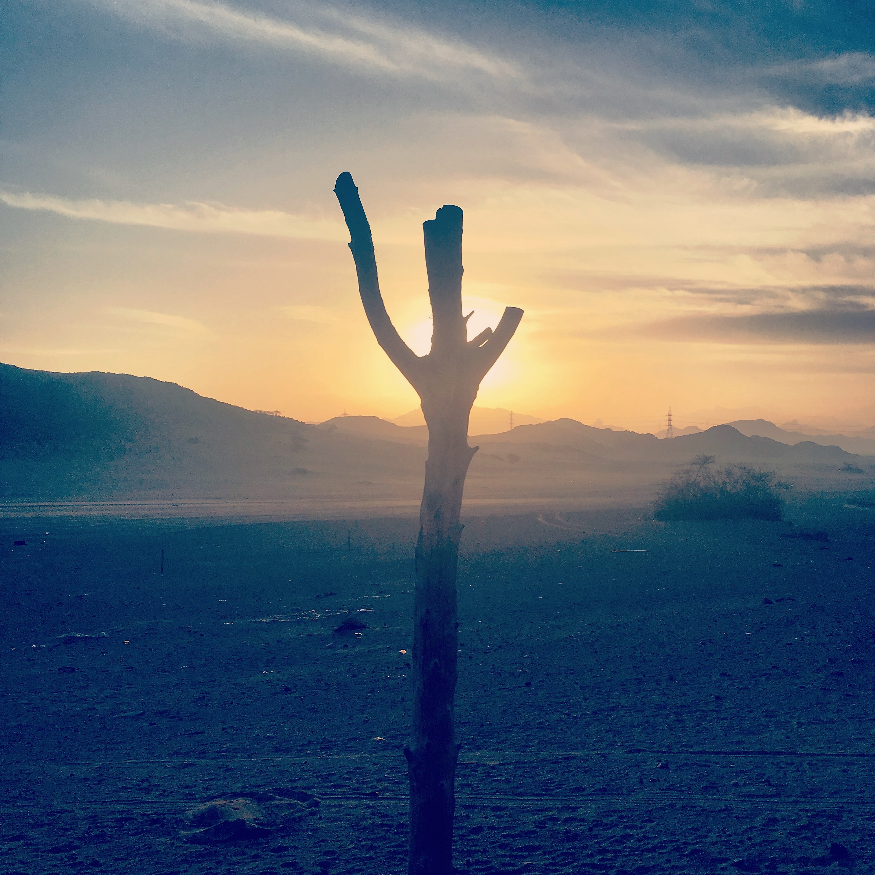 20161111_040042204_ios-1