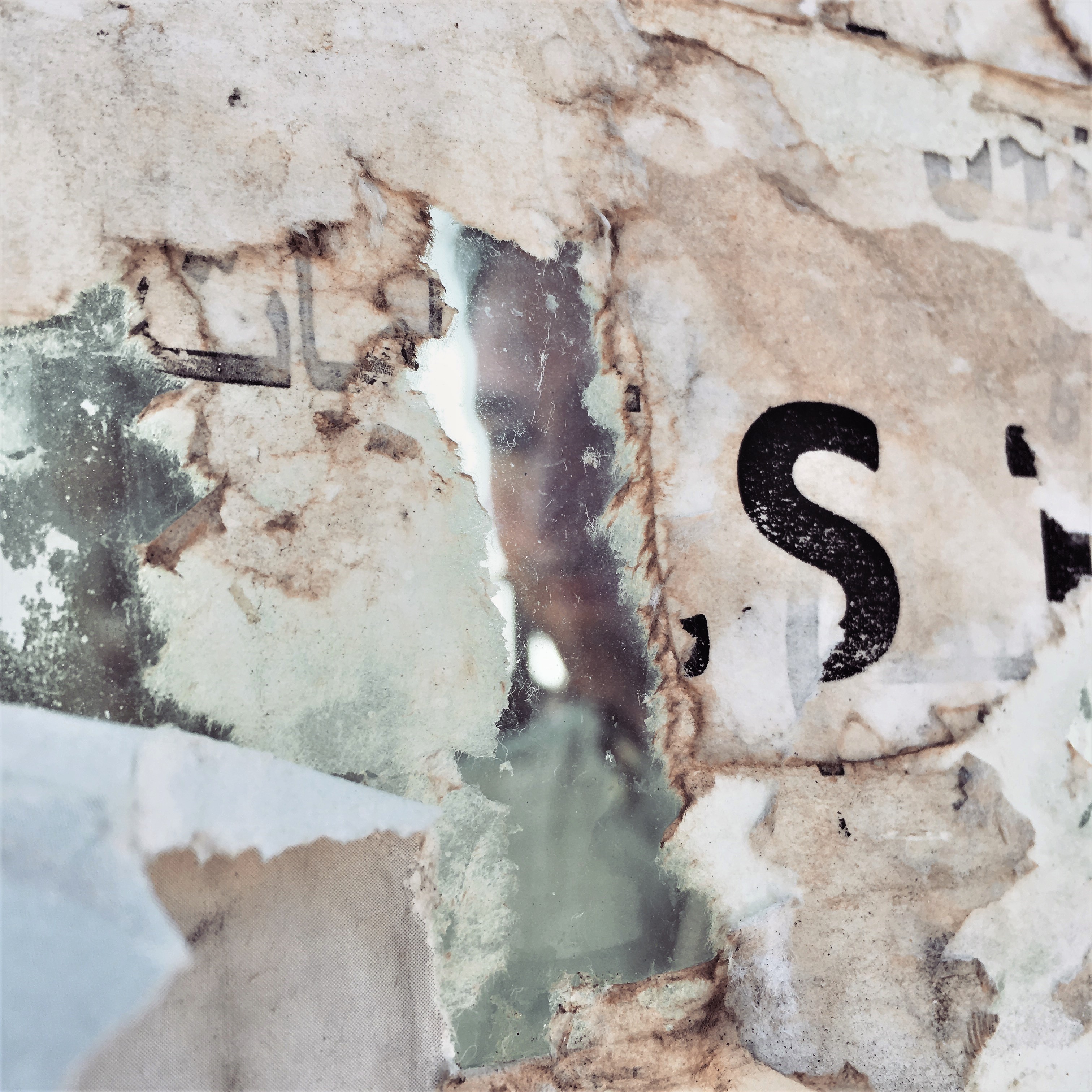 20170223_110256936_ios